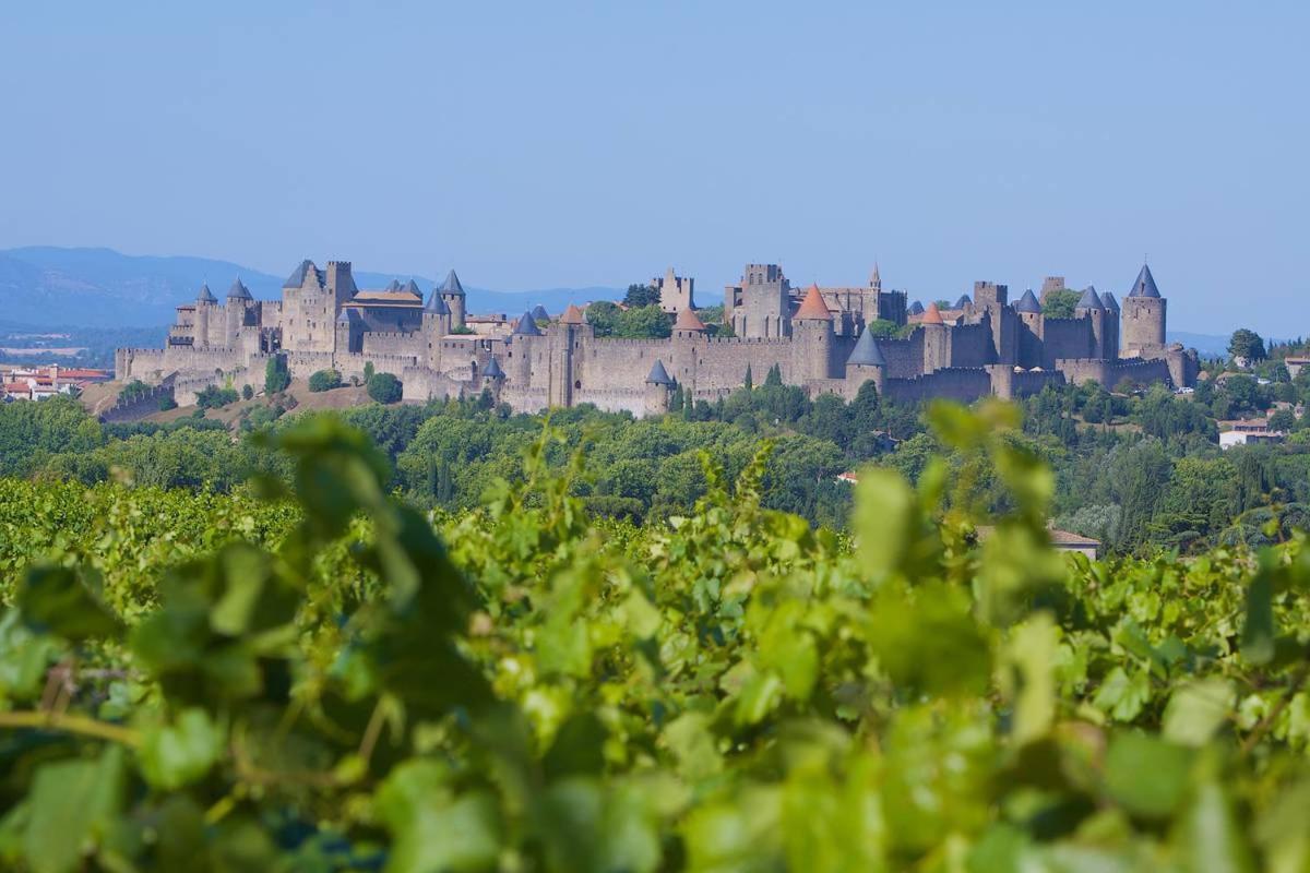 Tout Confort ! Calme, Climatisation, Vue Degagee, Ville ,Parking Gratuit, Ascenseur, Wifi Carcassonne Exteriér fotografie