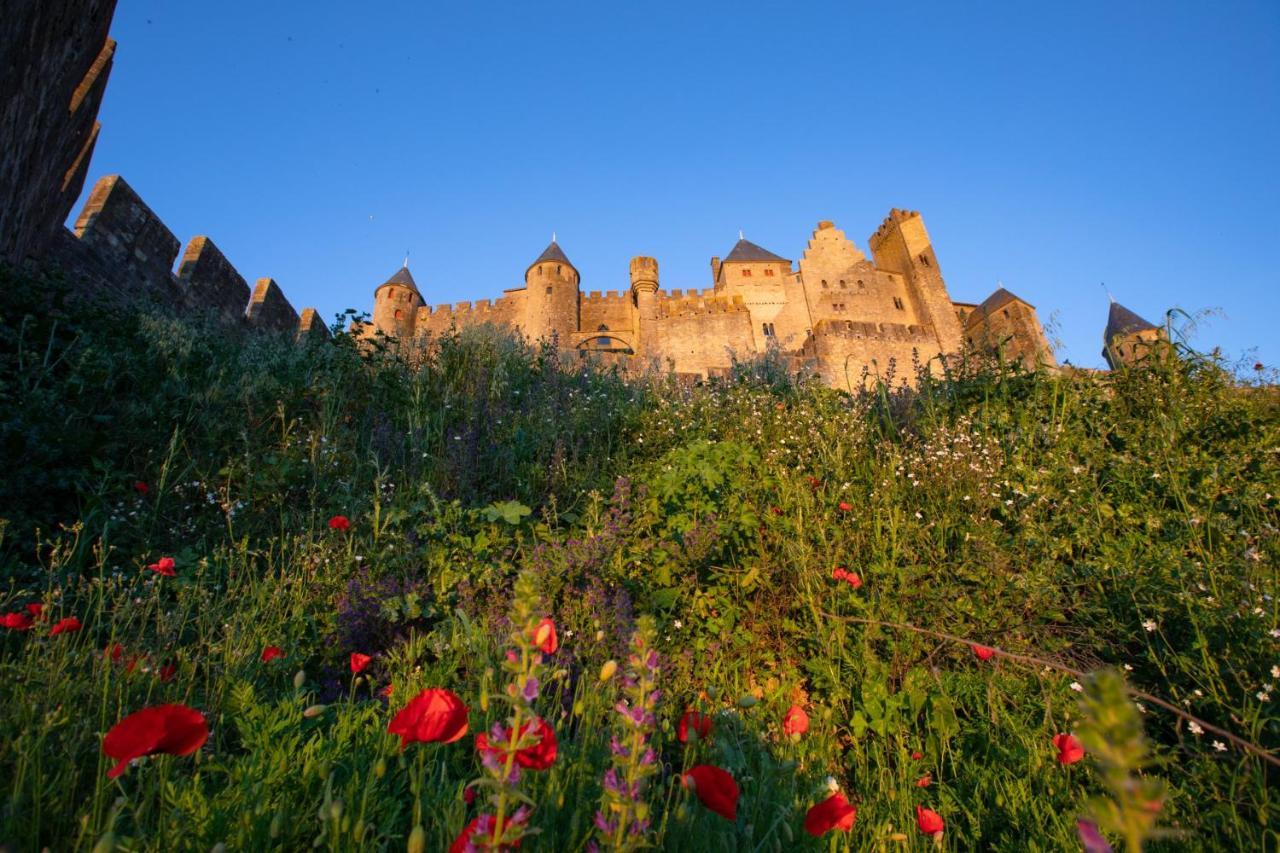 Tout Confort ! Calme, Climatisation, Vue Degagee, Ville ,Parking Gratuit, Ascenseur, Wifi Carcassonne Exteriér fotografie